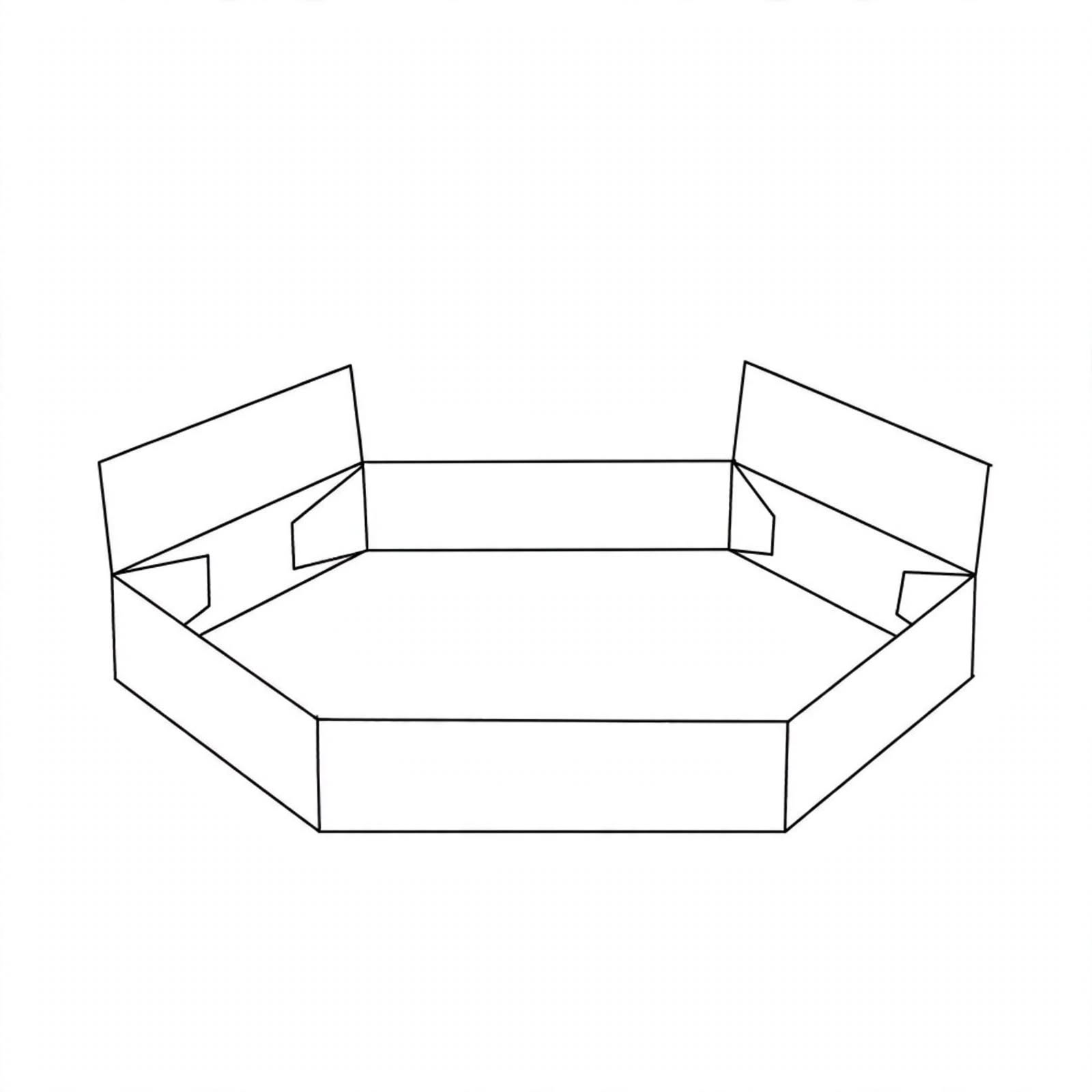 hexagon tray boxes 3